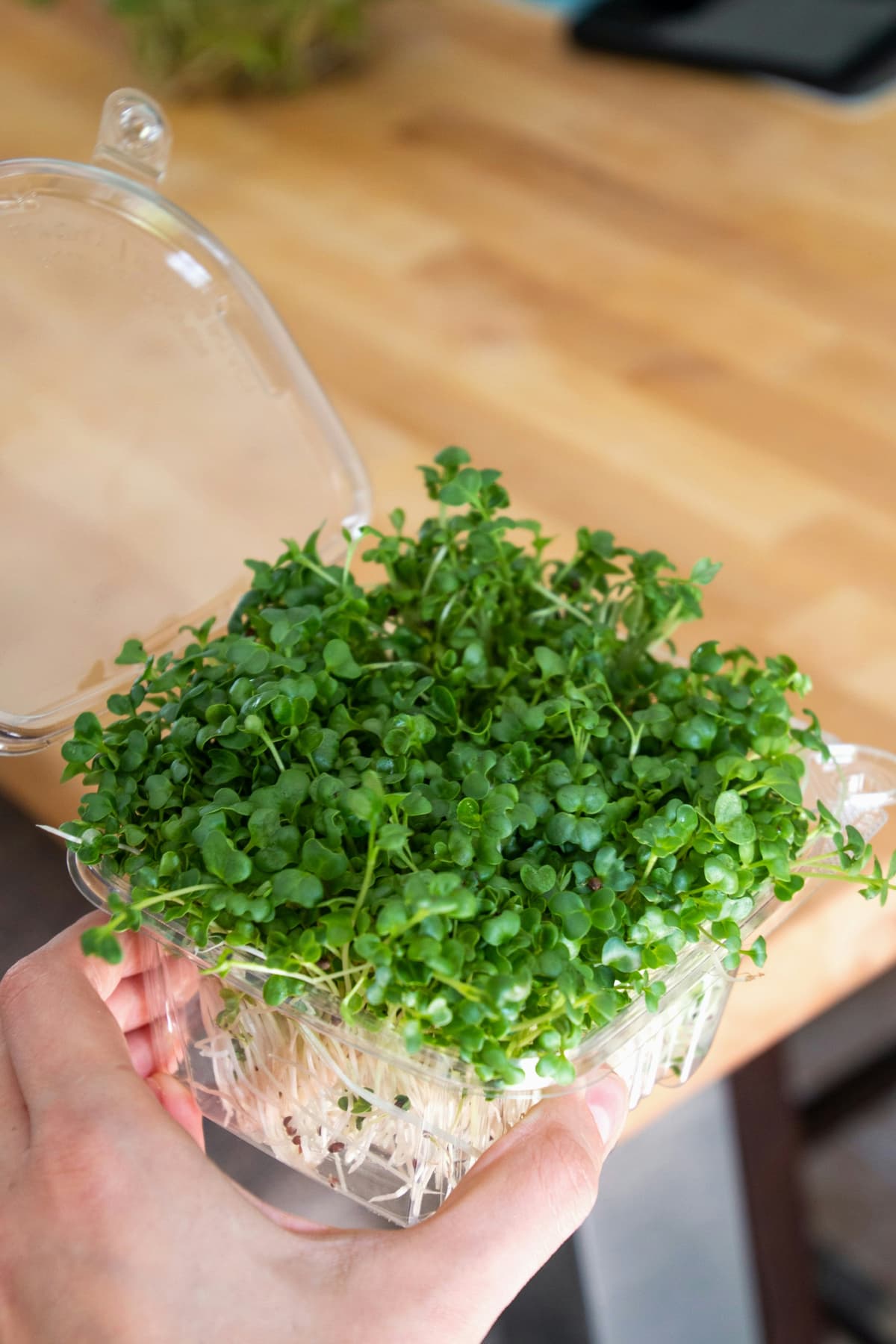 Fresh Microgreens