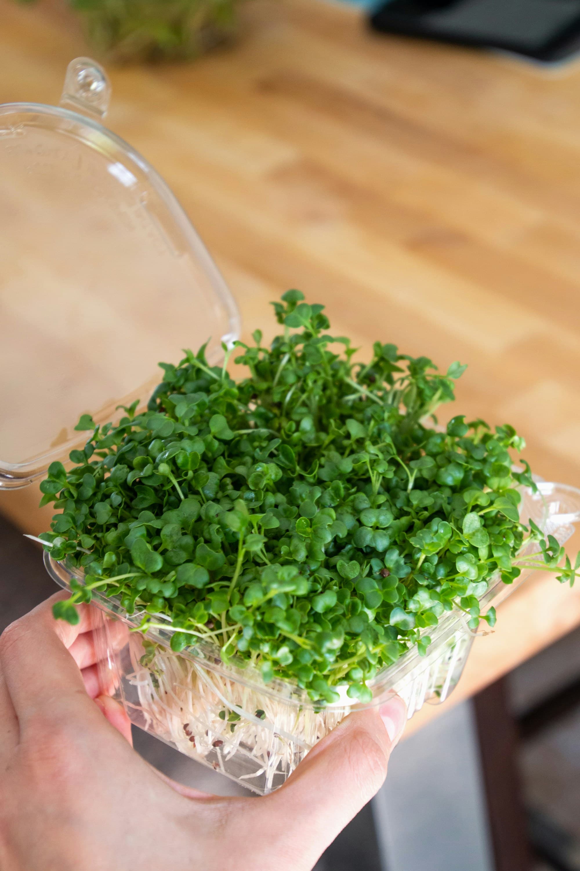 Fresh Microgreens