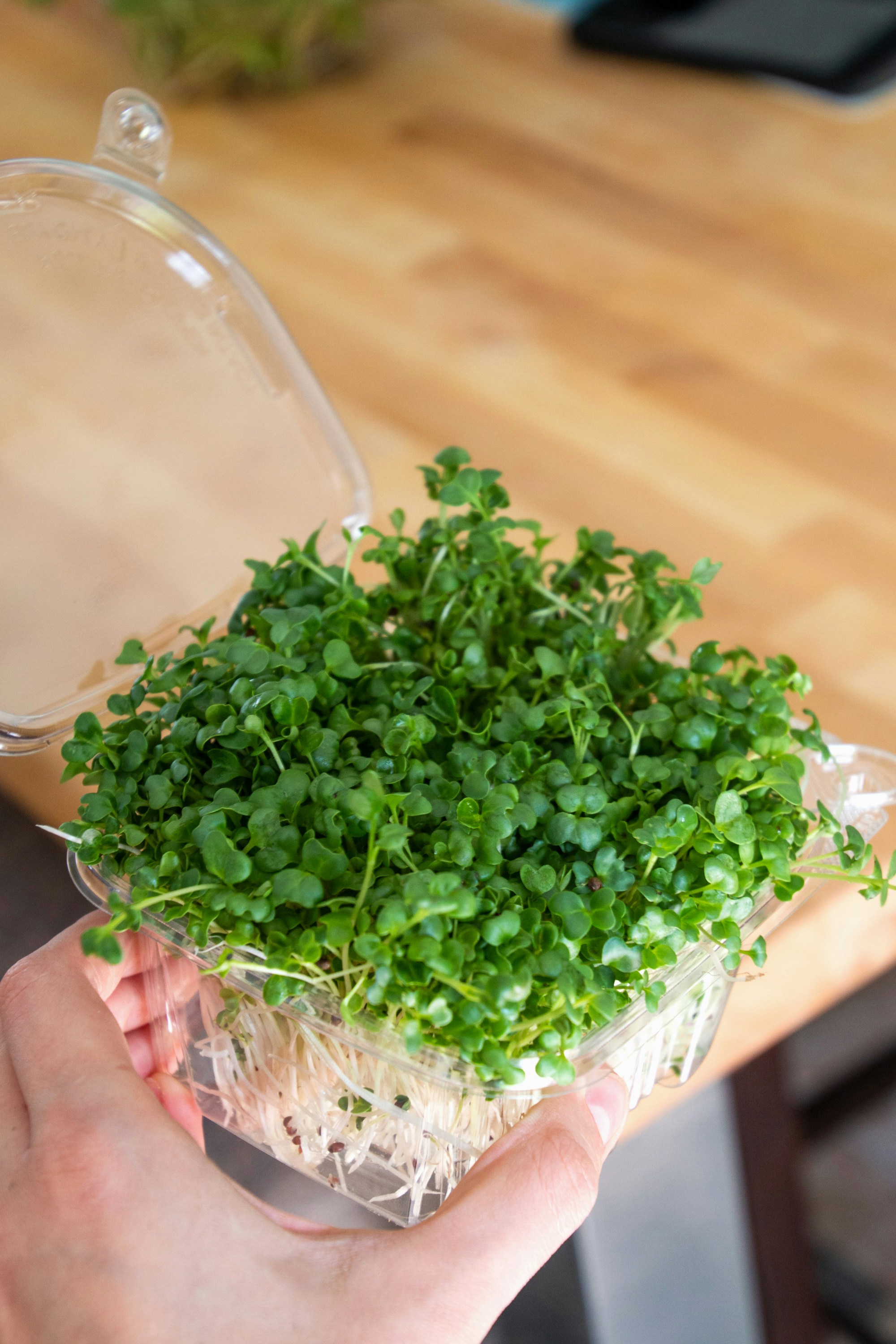 GreenBite microgreens gallery image 1