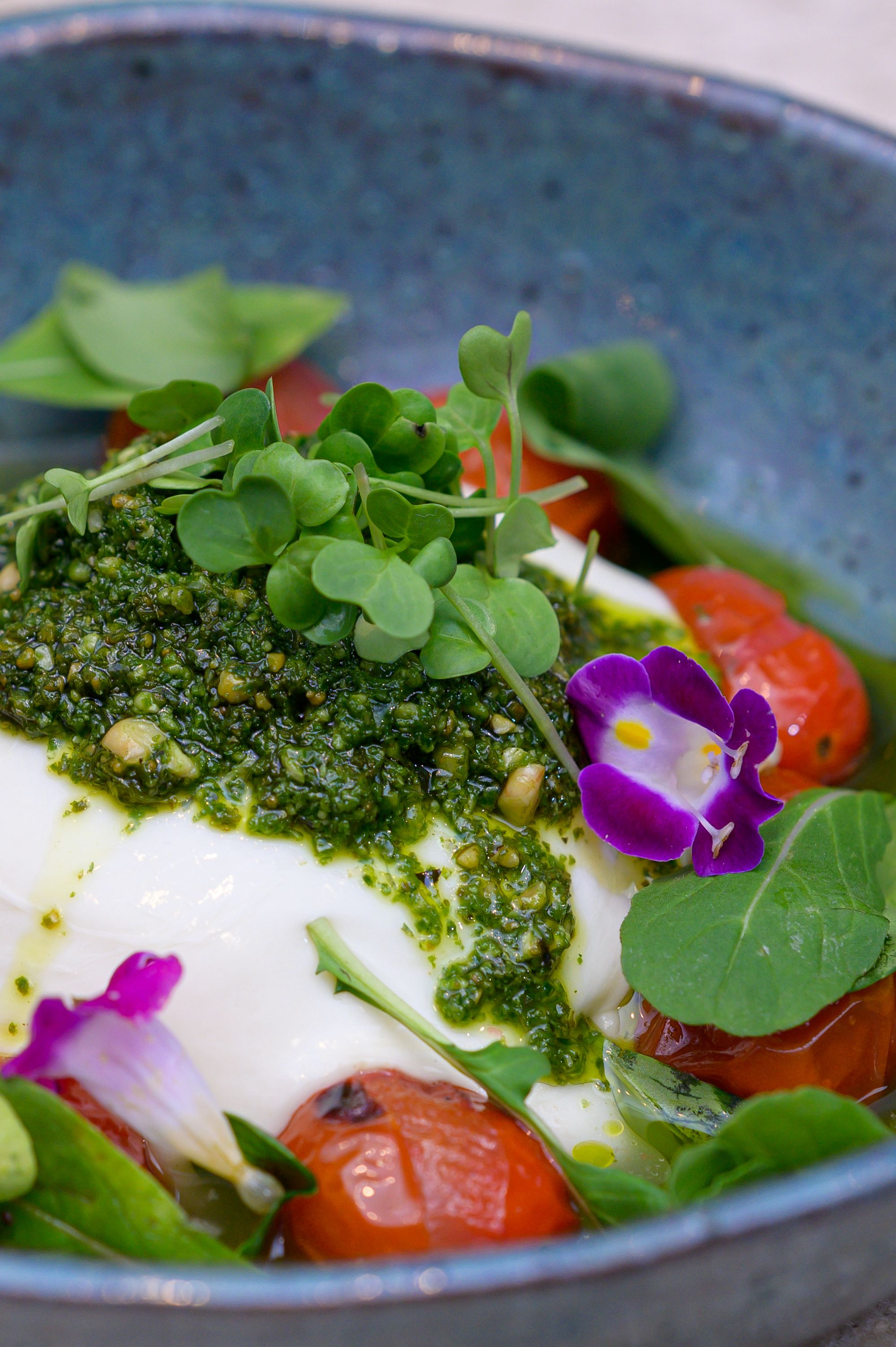 GreenBite microgreens gallery image 9